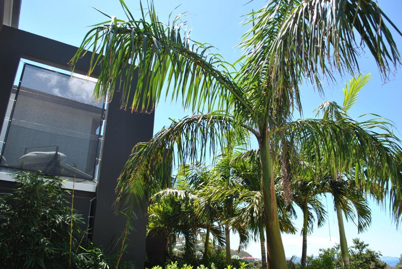 Reve De Saint Barth - Vue Mer - Piscine Chauffee & Jacuzzi Gustavia Exterior foto